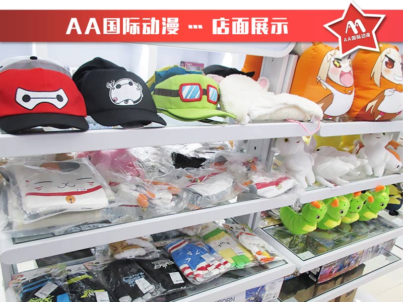 《創(chuàng)業(yè)寶典》如何讓動漫連鎖店成功經(jīng)營_2