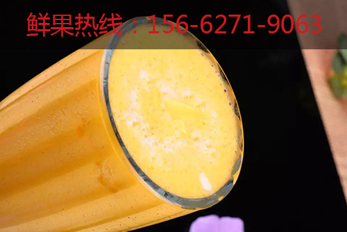 果蔬飲品加盟品牌推薦_1