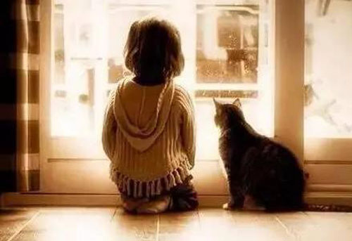 對不起，2016年我還做涂料銷售！（圖）_3