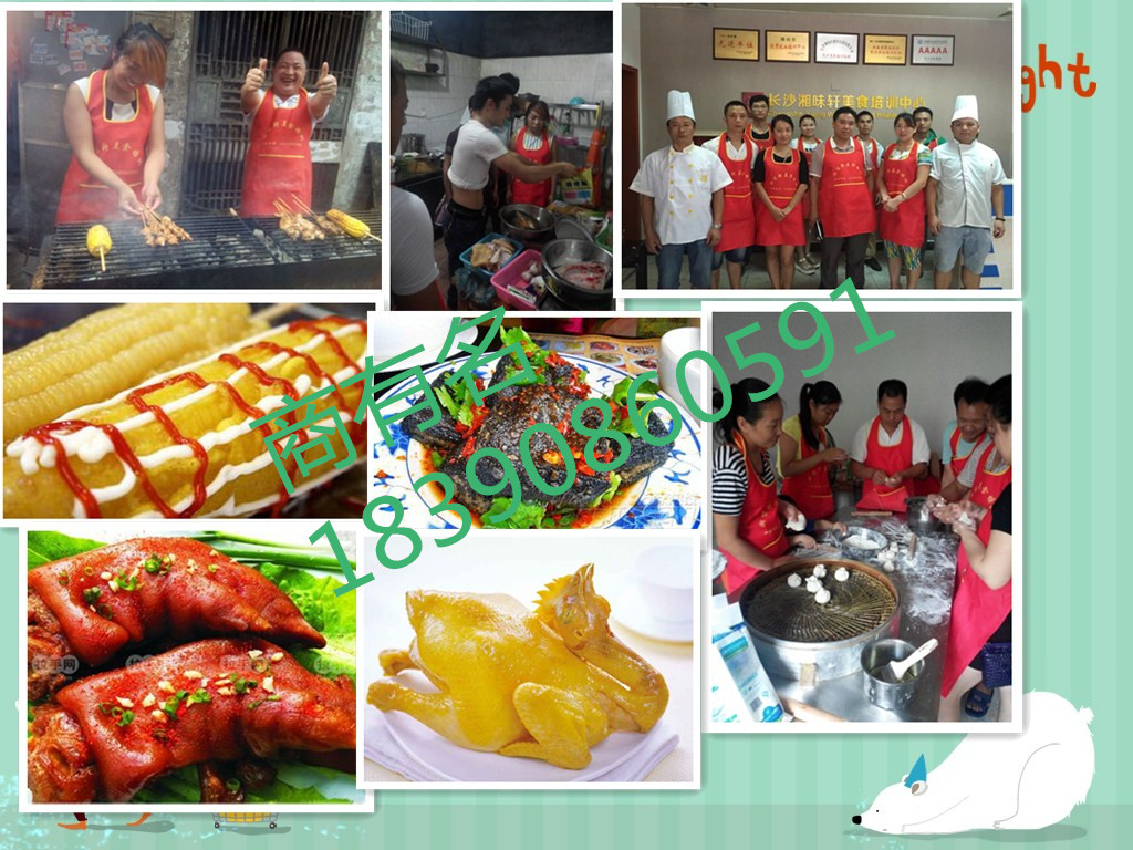 哪里有錢糧湖土鴨技術(shù)學(xué)_1