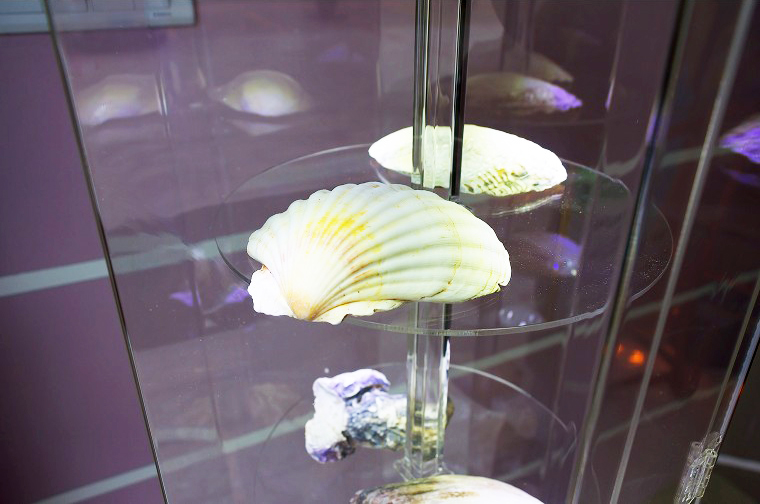 臨沂貝殼粉好不好 佳美樂貝殼清除異味（圖）_1