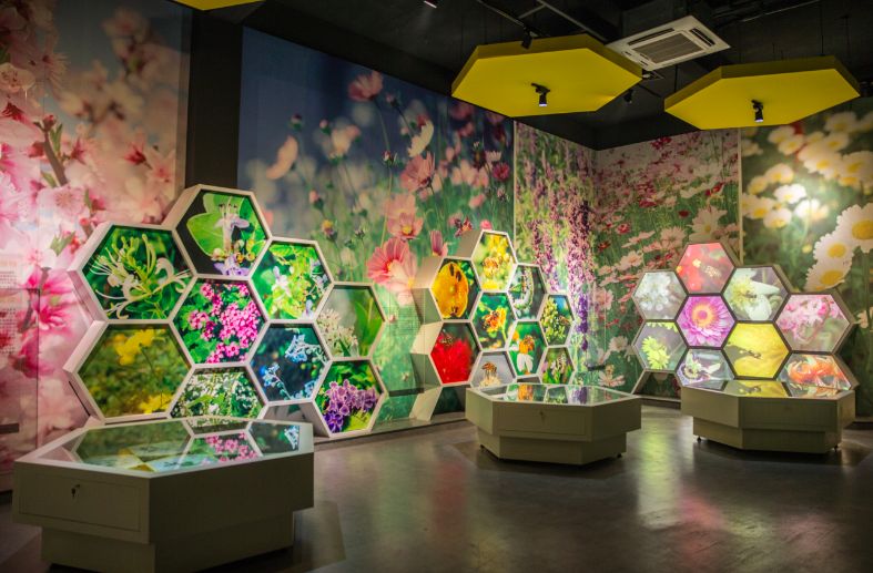 會議營銷旅游基地：首選恒亮蜂產(chǎn)品_2