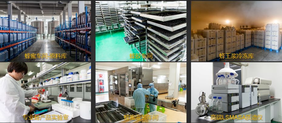 會議營銷旅游基地：首選恒亮蜂產(chǎn)品_3