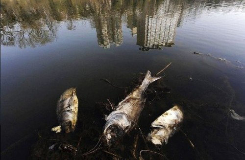 湖南净水器加盟哪家好？湖南净水器加盟厂家怎么样_2