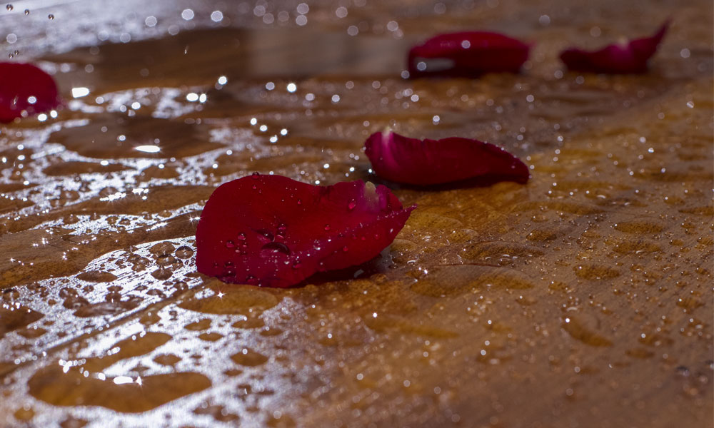 圣普麗斯可泡水木地板 與時(shí)代潮流同行（圖）_2