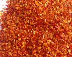 哪里有燒烤學(xué)(圖)_6