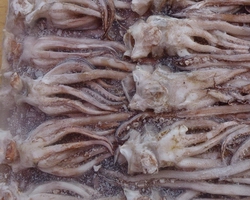 哪里有燒烤學(xué)(圖)_11