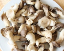 哪里有燒烤學(xué)(圖)_13