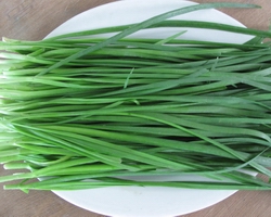 哪里有燒烤學(xué)(圖)_16