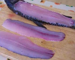 哪里有石鍋魚學（圖）_6