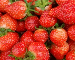 哪里有學糖水的地方(圖)_14