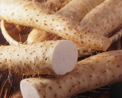 哪里有學糖水的地方(圖)_15