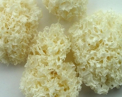 哪里有學糖水的地方(圖)_20