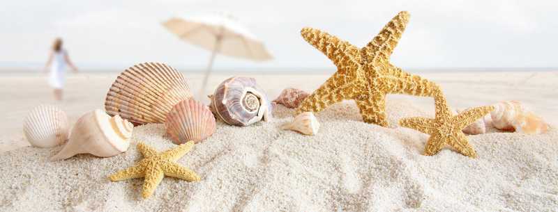 赤峰新型涂料貝殼粉批發(fā)貝殼粉符合環(huán)保認證_1