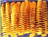 黃金薯塔技術(shù)培訓(xùn)哪里可以學(xué)（圖）_1