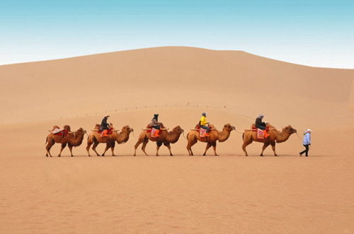 游學(xué)夏令營(yíng)多少錢（圖）_2