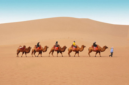 2016年暑假夏令營（圖）_2