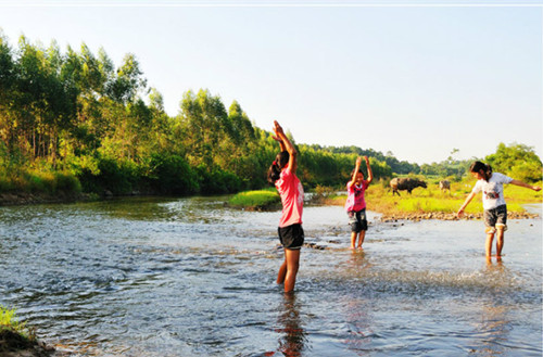 鄭州夏令營(yíng)活動(dòng)（圖）_2