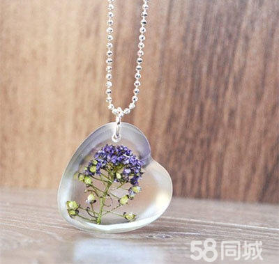 【植寵日記】可愛多肉植物DIY適合女性創(chuàng)業(yè)的好項(xiàng)目_2