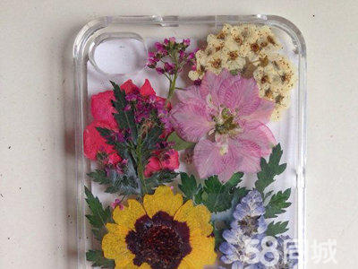 【植寵日記】可愛多肉植物DIY適合女性創(chuàng)業(yè)的好項(xiàng)目_4