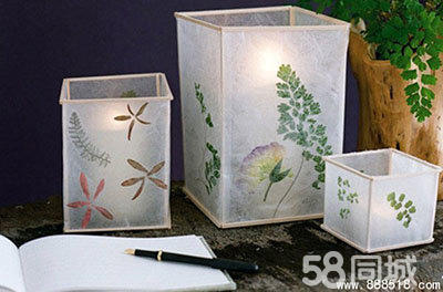 【植寵日記】可愛多肉植物DIY適合女性創(chuàng)業(yè)的好項(xiàng)目_5