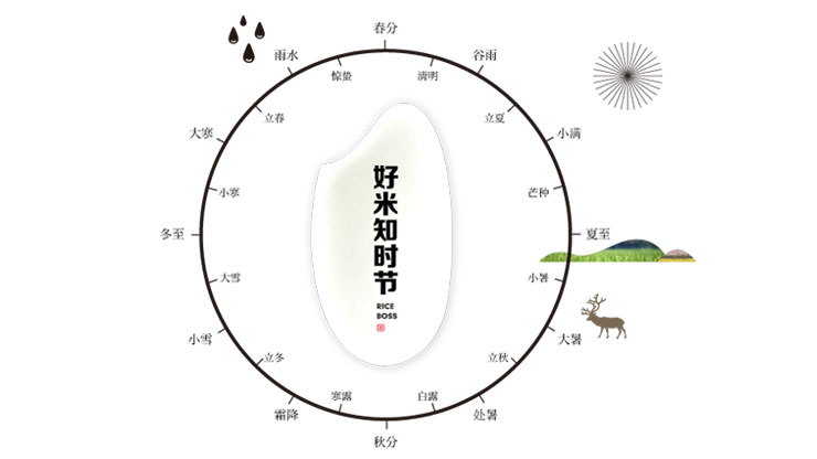 好米知时节——与家人共絮一碗米老板稻花香大米饭（图）_2