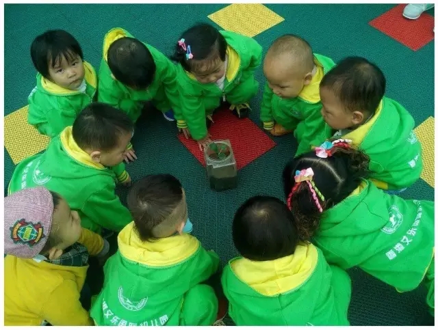 選擇幼兒園連鎖品牌有哪些誤區(qū)？_6