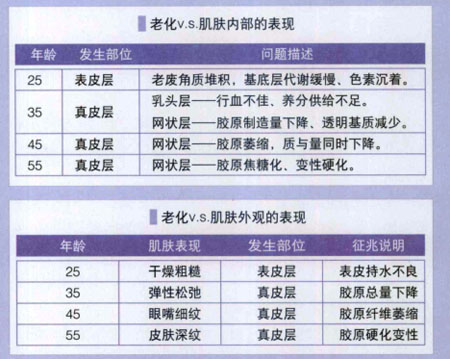 简单易懂的抗老化概念，抗氧化就是在抗老化（图）_3