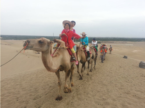 國內(nèi)游學夏令營（圖）_2