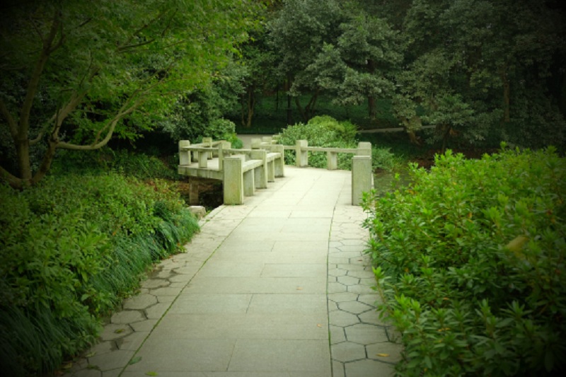 良友花藝培訓(xùn)，四大優(yōu)勢締造專業(yè)品牌（圖）_1