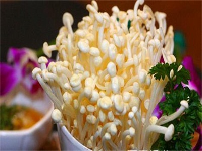 重慶最受歡迎的老火鍋加盟品牌（圖）_3