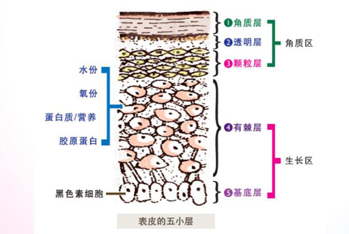 防斑大作战，却是为哪“斑”？（图）_2