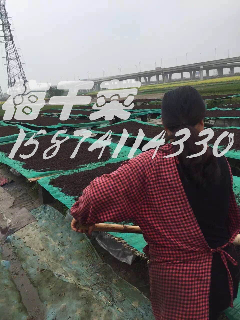 浙江梅干菜批發(fā) 紹興梅干菜批發(fā)_2