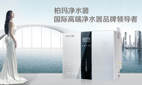 深圳凈水器代理哪個(gè)牌子好 深圳技術(shù)實(shí)力最強(qiáng)的凈水器廠家_1