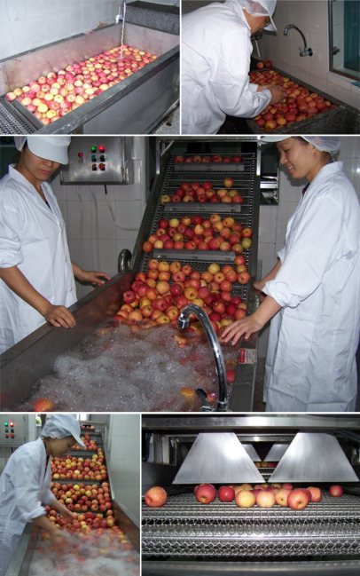 蘋果醋秘密：即飲果醋喝多有害健康 原漿幌子（圖）_5