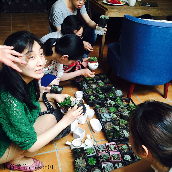 DIY創(chuàng)意手工坊攜手VIP客戶玩多肉（圖）_1