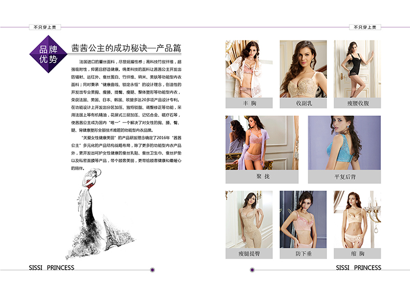 茜茜公主萬人創(chuàng)業(yè)項目計劃書女性創(chuàng)業(yè)必讀_4