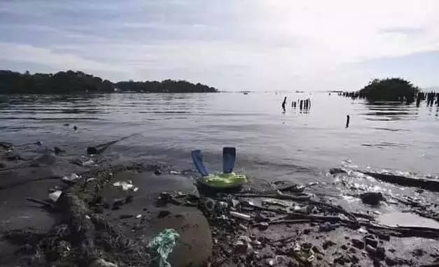 B2B餐飲采購平臺通贏優(yōu)采陪你一起為中國隊(duì)加油助威?。ǜ嚼锛s奧運(yùn)會(huì)完整賽程表）（圖）_24