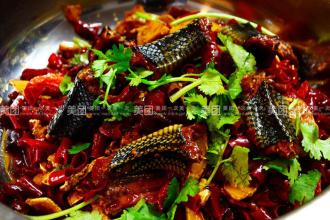 大連學(xué)姜辣蛇去哪里有學(xué)_1