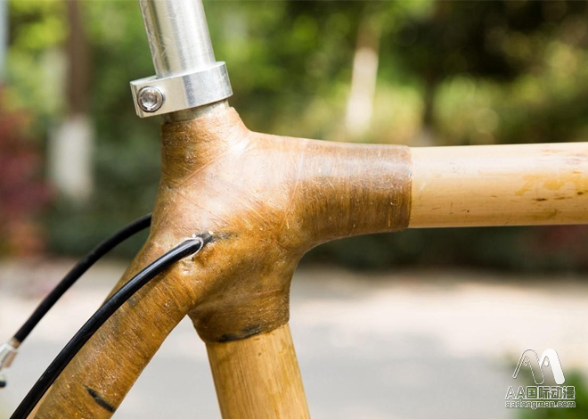 AA國際動漫：小伙DIY自制竹子自行車游拉薩_2