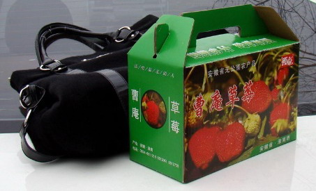 曹庵草莓加盟,曹庵草莓加盟品牌_2