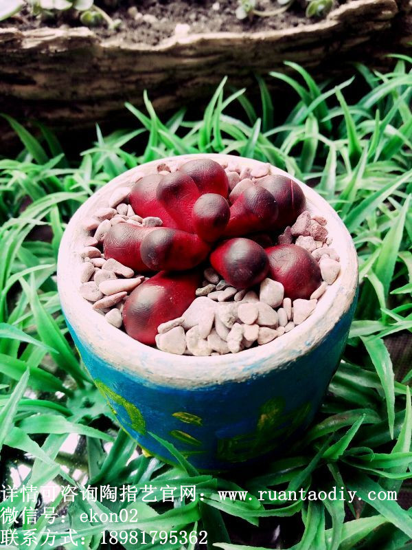 獨(dú)一無二的親子拓展創(chuàng)意DIY店_1