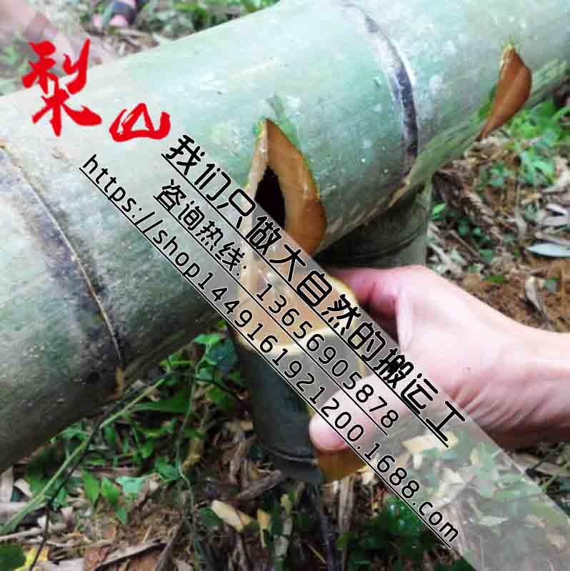 寧化正宗竹筒酒活竹酒廠家招全國代理經(jīng)銷商_1