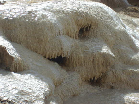 存活于弱堿性高礦物質(zhì)的水體中蘇約克蘇打水_2