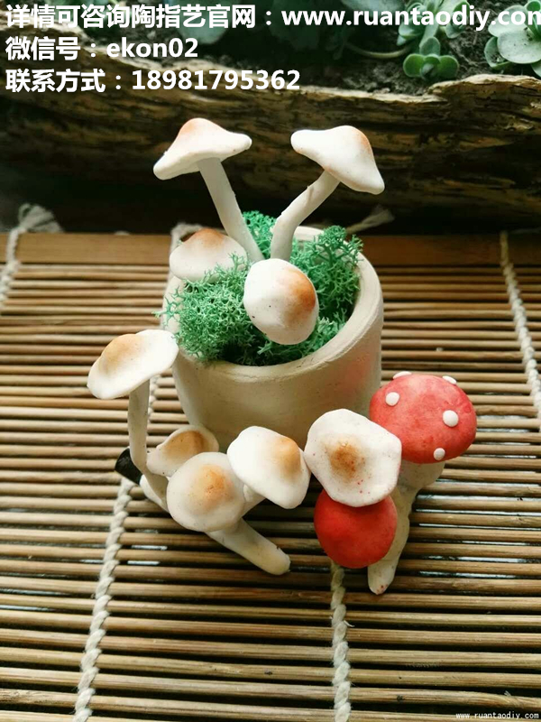 創(chuàng)意DIY引領新時代創(chuàng)業(yè)發(fā)展_1