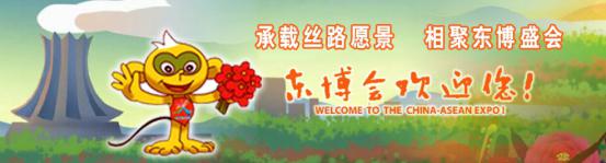 9月11日蓝天豚硅藻泥与您相约中国-东盟博览会（图）_2