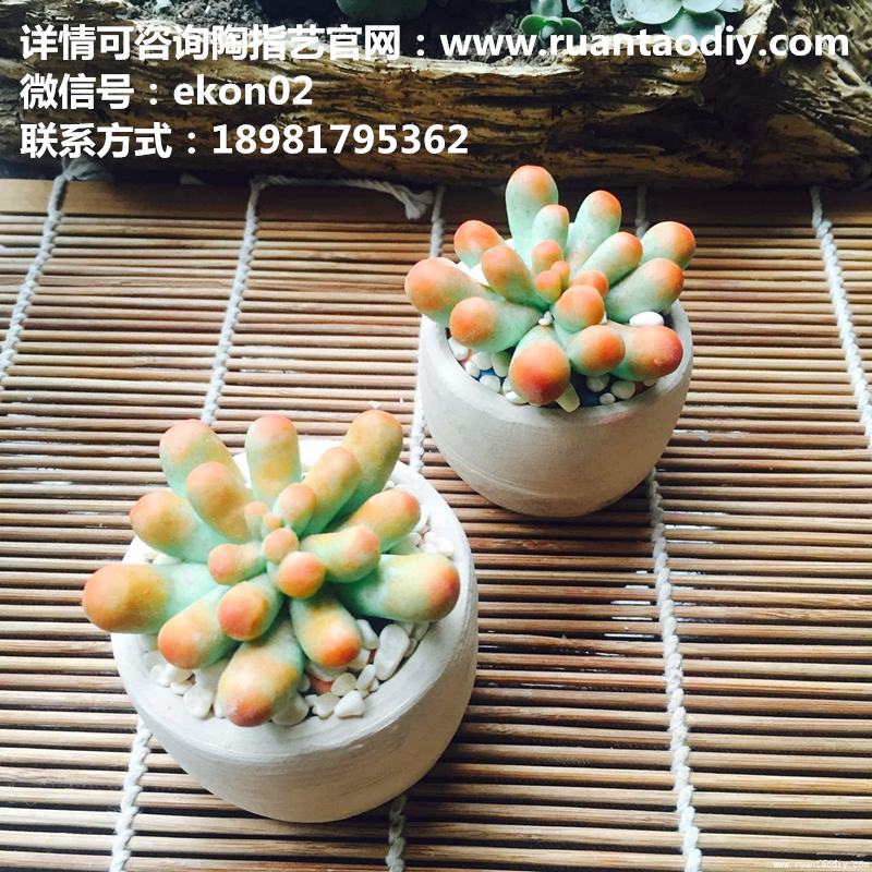 個(gè)性DIY創(chuàng)意 陶指藝加盟店_1