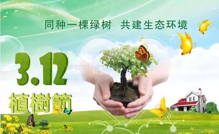 2016植树节 古玄堂与大家一起呵护地球每一丝绿（图）_1