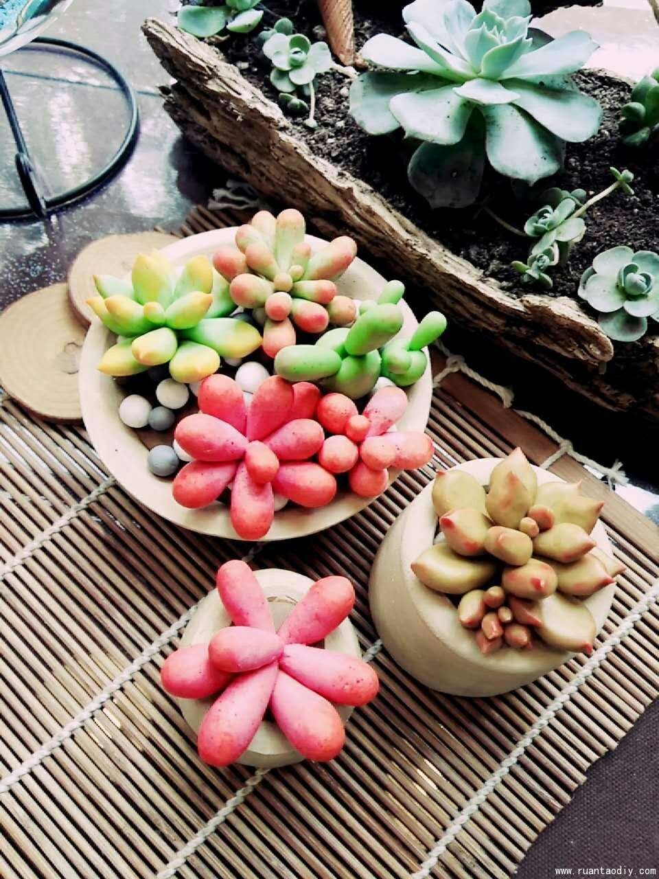 創(chuàng)意生活館手工陶藝捏制多肉植物新品（圖）_1