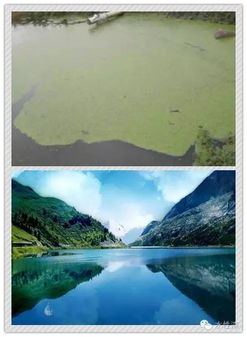 無窮花水漆倡導(dǎo)保護生態(tài)環(huán)境，熱愛自然（圖）_14